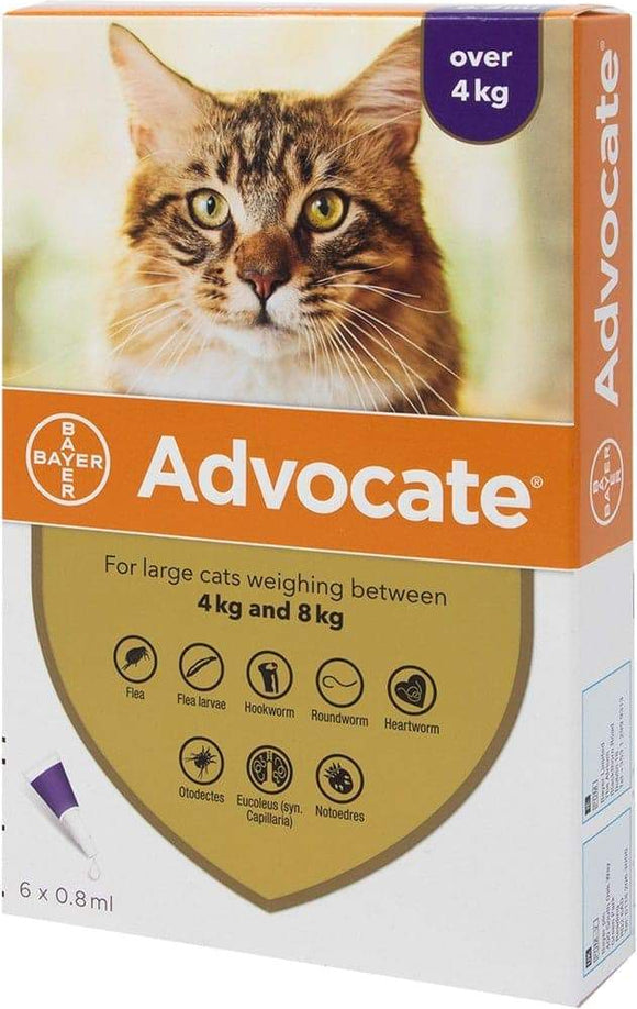 Advocate Big Cats (4-8kg)