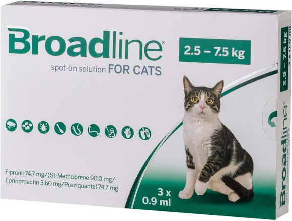 Broadline Large Cats